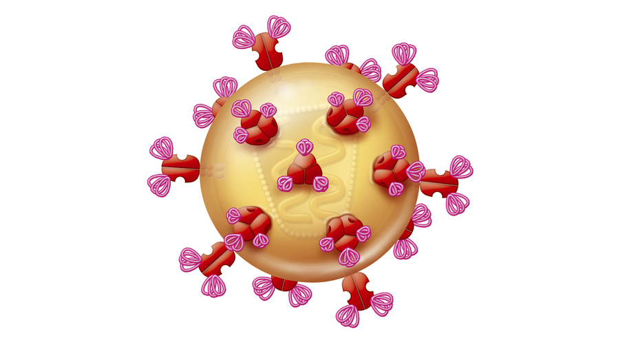 49d7df8e28044c69b79b8686ee81080f.jpg 49d7df8e28044c69b79b8686ee81080f.jpg