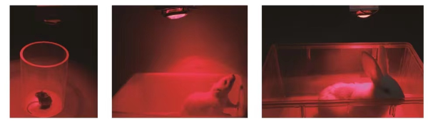 NEM1_20211007_C0326823480_A2994393.png NEM1_20211007_C0326823480_A2994393.png