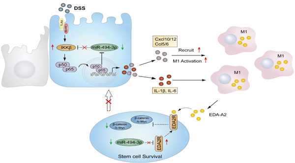 W020210219761387123816.png W020210219761387123816.png