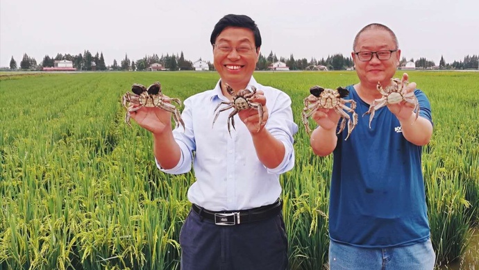 d74ab8ea0d04429bb00663a3f0e62bd4 d74ab8ea0d04429bb00663a3f0e62bd4