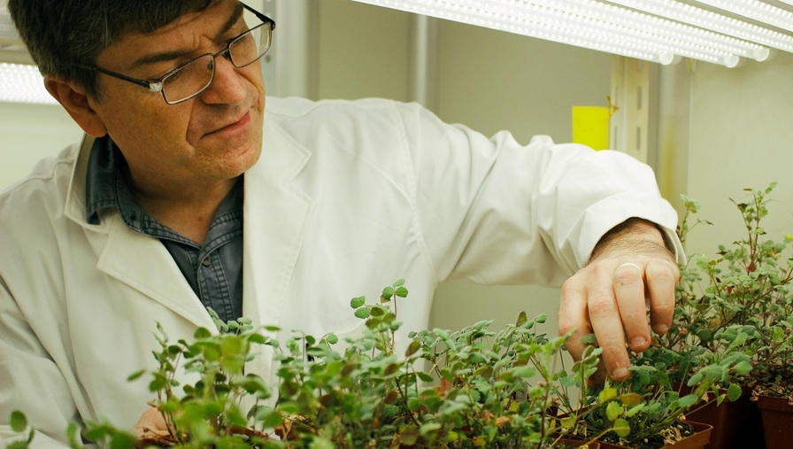 d48816b87cea49d1ad4d6316ad5a2aa2.jpg d48816b87cea49d1ad4d6316ad5a2aa2.jpg