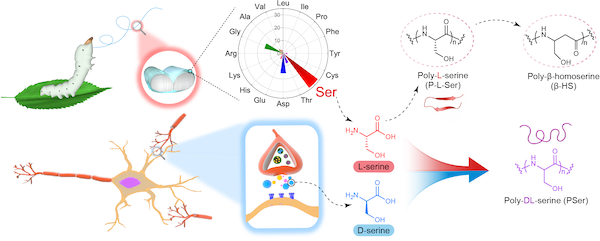 NEM1_20210915_C0326765078_A2965081.png NEM1_20210915_C0326765078_A2965081.png