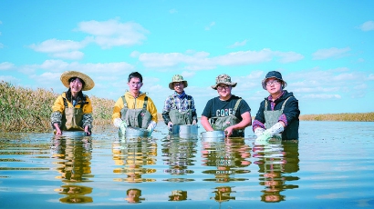 40203_p32.jpg 40203_p32.jpg