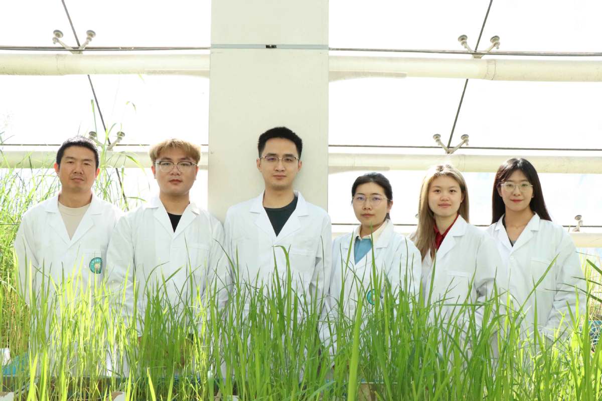 First authors of the research A canonical protein complex controls immune homeostasis and multipathogen resistance.jpeg First authors of the research A canonical protein complex controls immune homeostasis and multipathogen resistance.jpeg