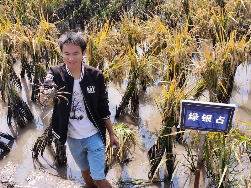 09ff10edc9cd4abeb1fffa85016c5a4a 09ff10edc9cd4abeb1fffa85016c5a4a