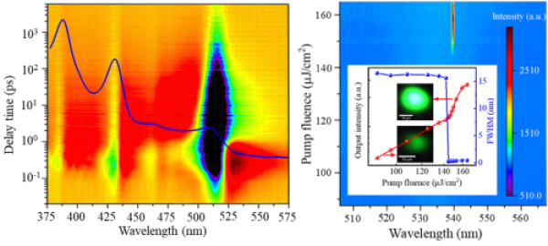 W020210422338411578742.png W020210422338411578742.png